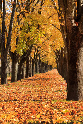 Similar image 2206542