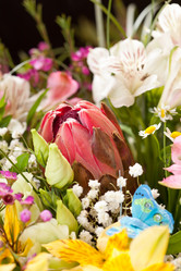 Similar image 2206555