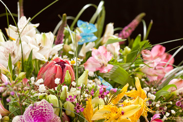 Similar image 2206558