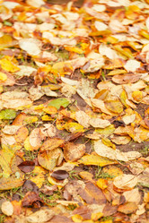 Similar image 2206649