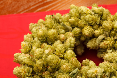 Similar image 2206650