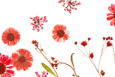 Similar image 2206663