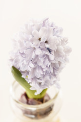 Similar image 2206689