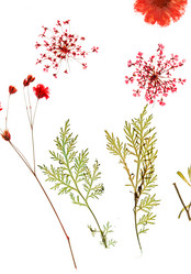 Similar image 2206714