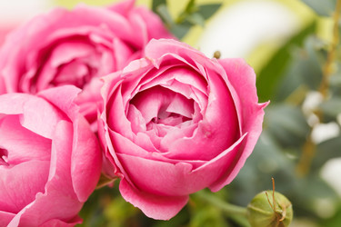 Similar image 2206717