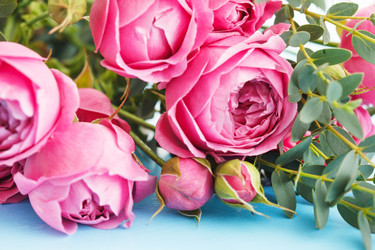 Similar image 2206719