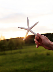 Similar image 2206729