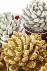 Similar image 2206731