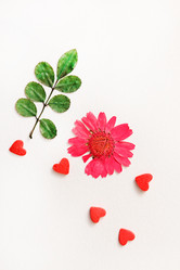 Similar image 2206734