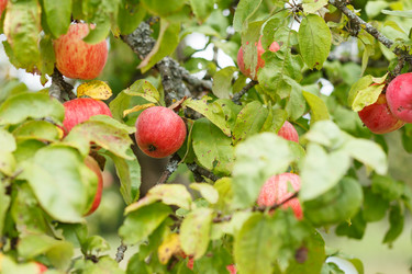 Similar image 2206757