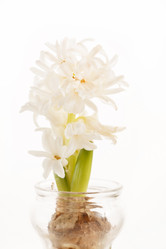 Similar image 2206763