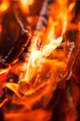 Similar image 2206784