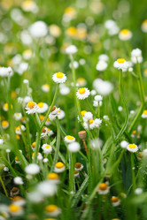 Similar image 2206789