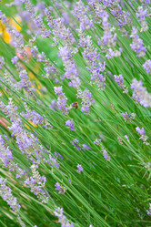 Similar image 2206808