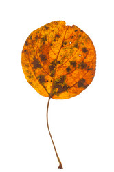 Similar image 2206856