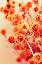 Similar image 2206934