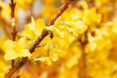 Similar image 2206936