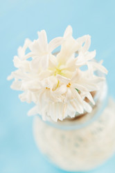 Similar image 2206939