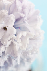 Similar image 2206940