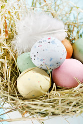 Similar image 2206967