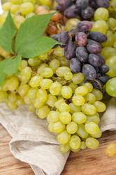 Similar image 2206972