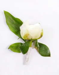 Similar image 2206974