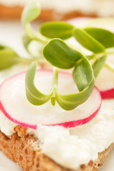 Similar image 2206985