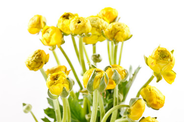 Similar image 2206993