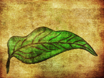 Similar image 2207046