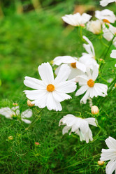 Similar image 2207102