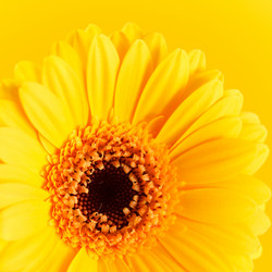 Similar image 2207112