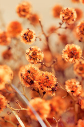 Similar image 2207116