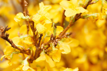 Similar image 2207118