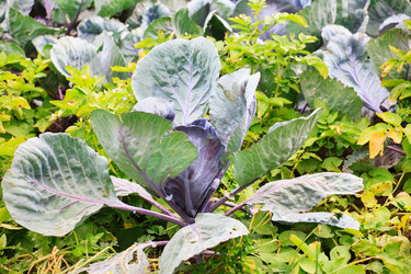 Similar image 2207254