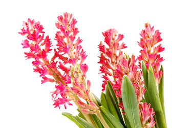 Similar image 2207255