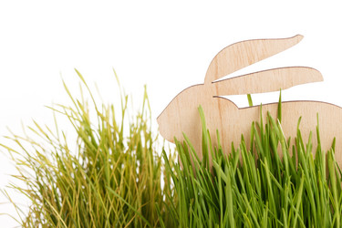 Similar image 2207281