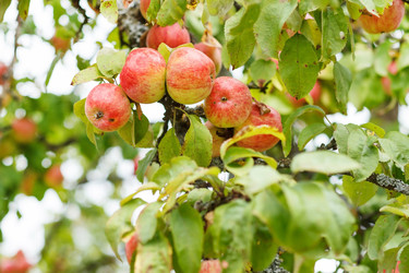 Similar image 2207296