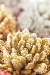 Similar image 2207314