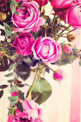 Similar image 2207321