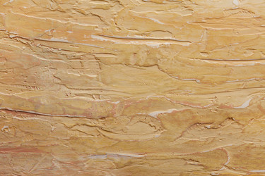 Similar image 2207334