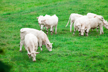 Similar image 2207385