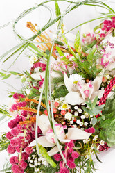 Similar image 2207391