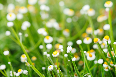 Similar image 2207405