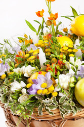 Similar image 2207407