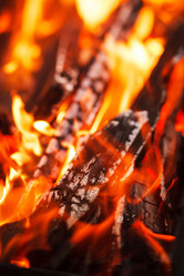 Similar image 2207408