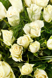 Similar image 2207423