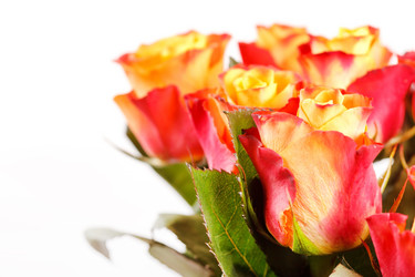 Similar image 2207434