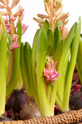 Similar image 2207438