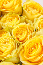 Similar image 2207444