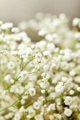 Similar image 2207486